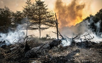 Оценка ущерба после стихийного бедствия в Саратове: отчет оценщика